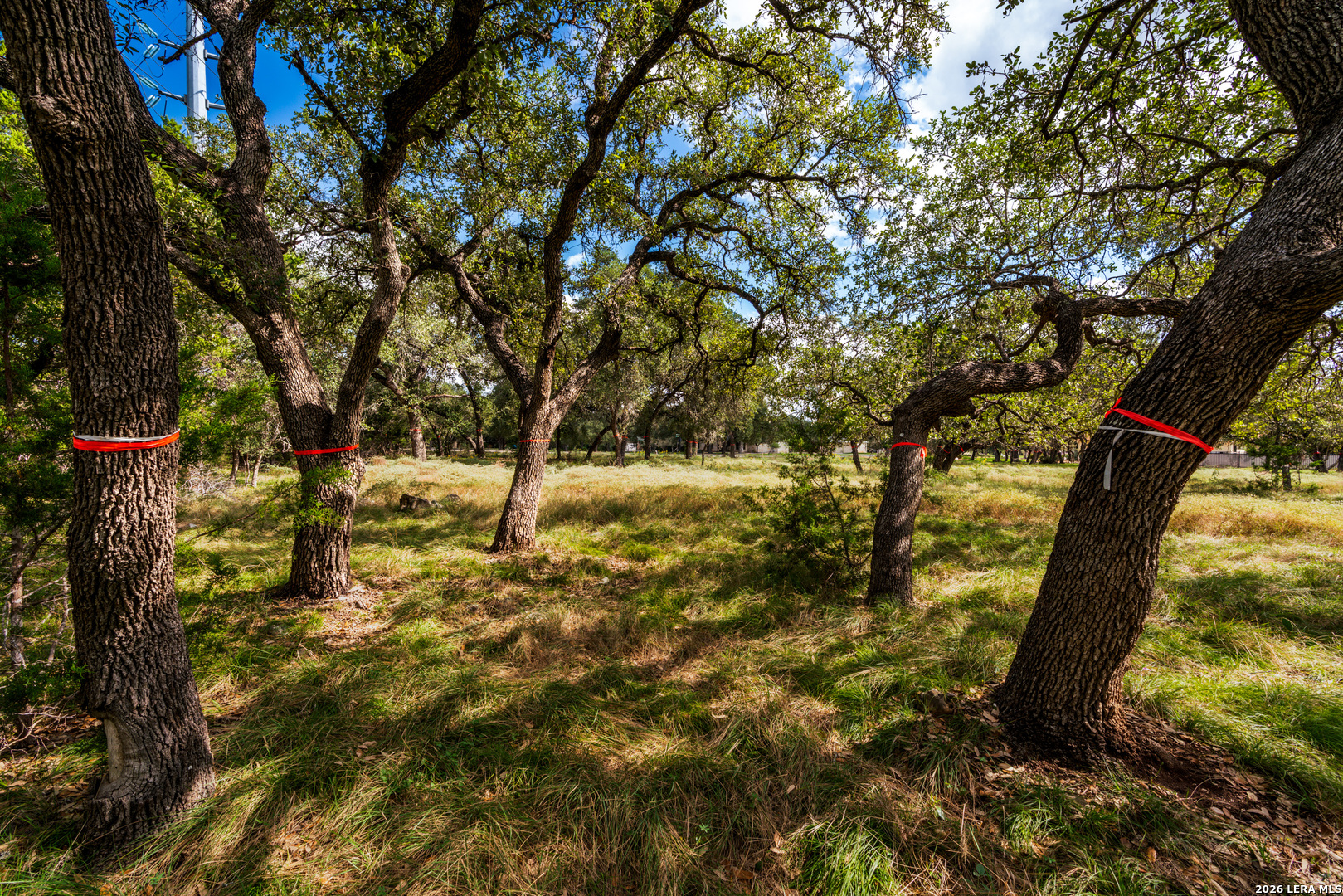 23407 Osceola Bluff San Antonio TX 78261