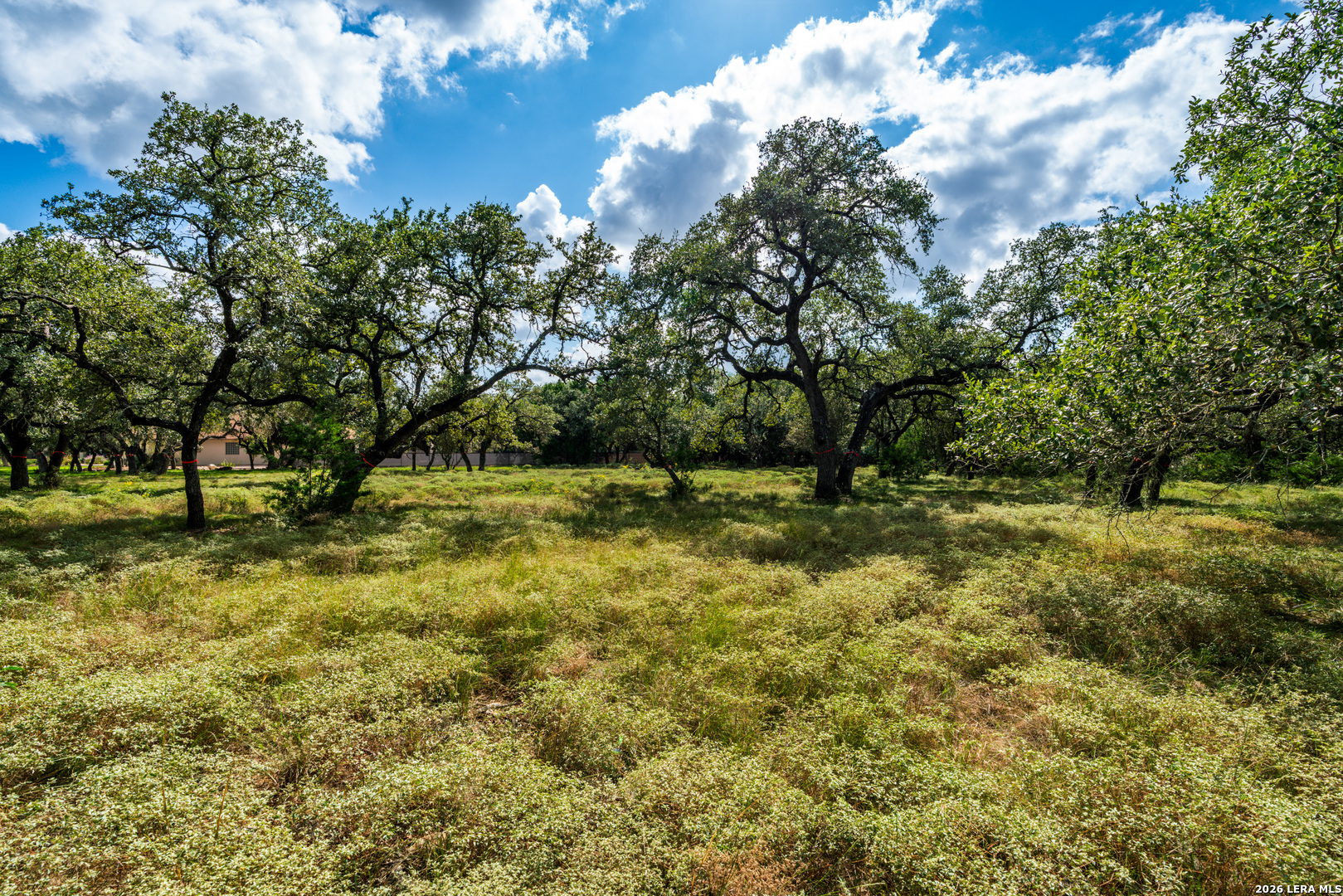 23407 Osceola Bluff San Antonio TX 78261