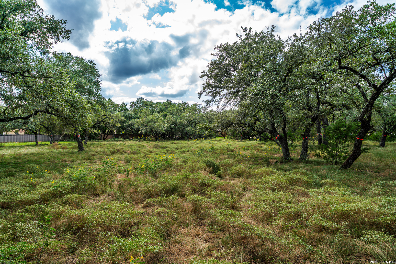 23407 Osceola Bluff San Antonio TX 78261