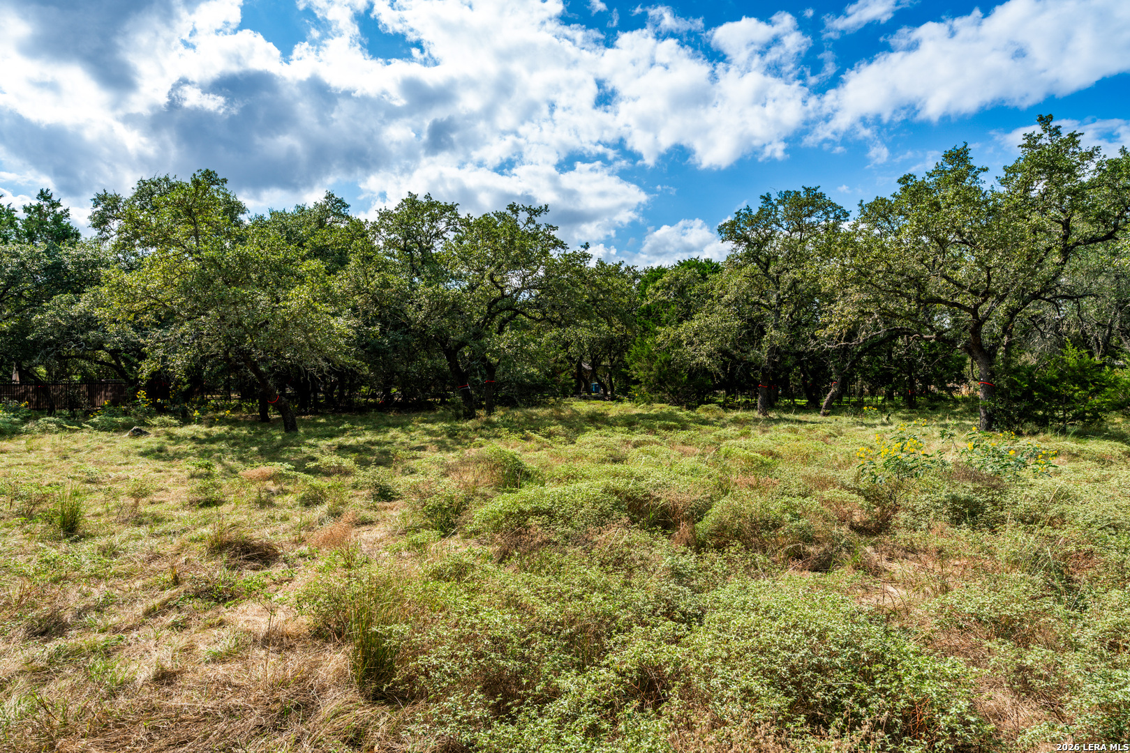 23407 Osceola Bluff San Antonio TX 78261