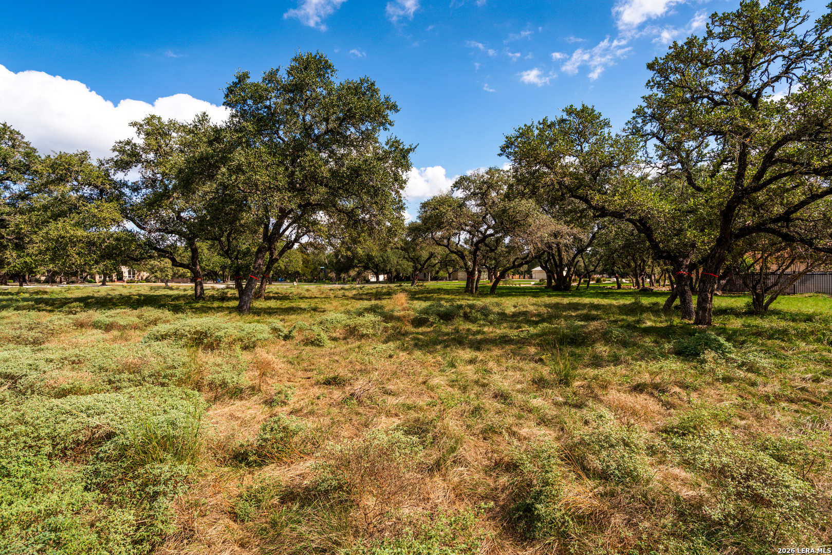 23407 Osceola Bluff San Antonio TX 78261