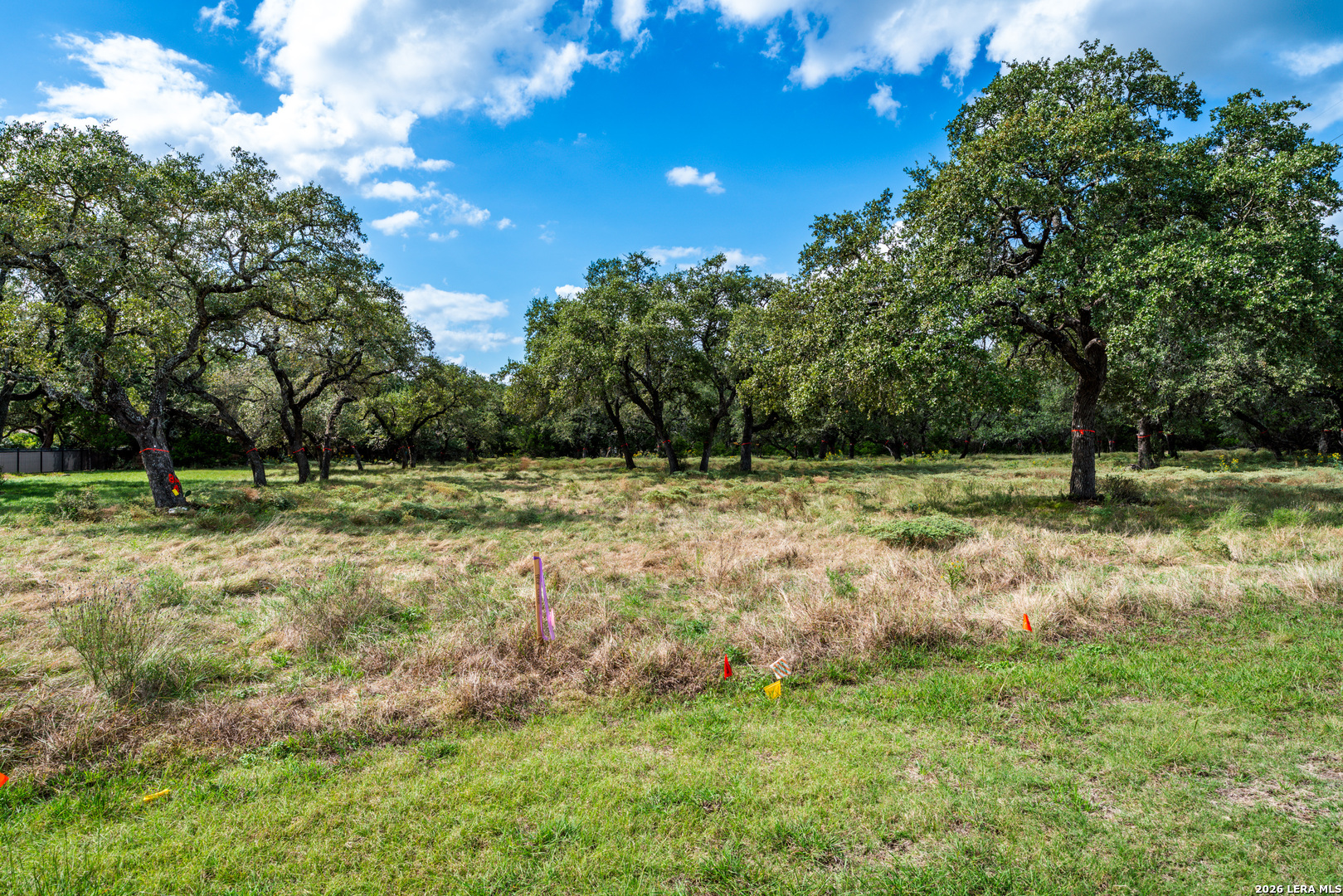 23407 Osceola Bluff San Antonio TX 78261