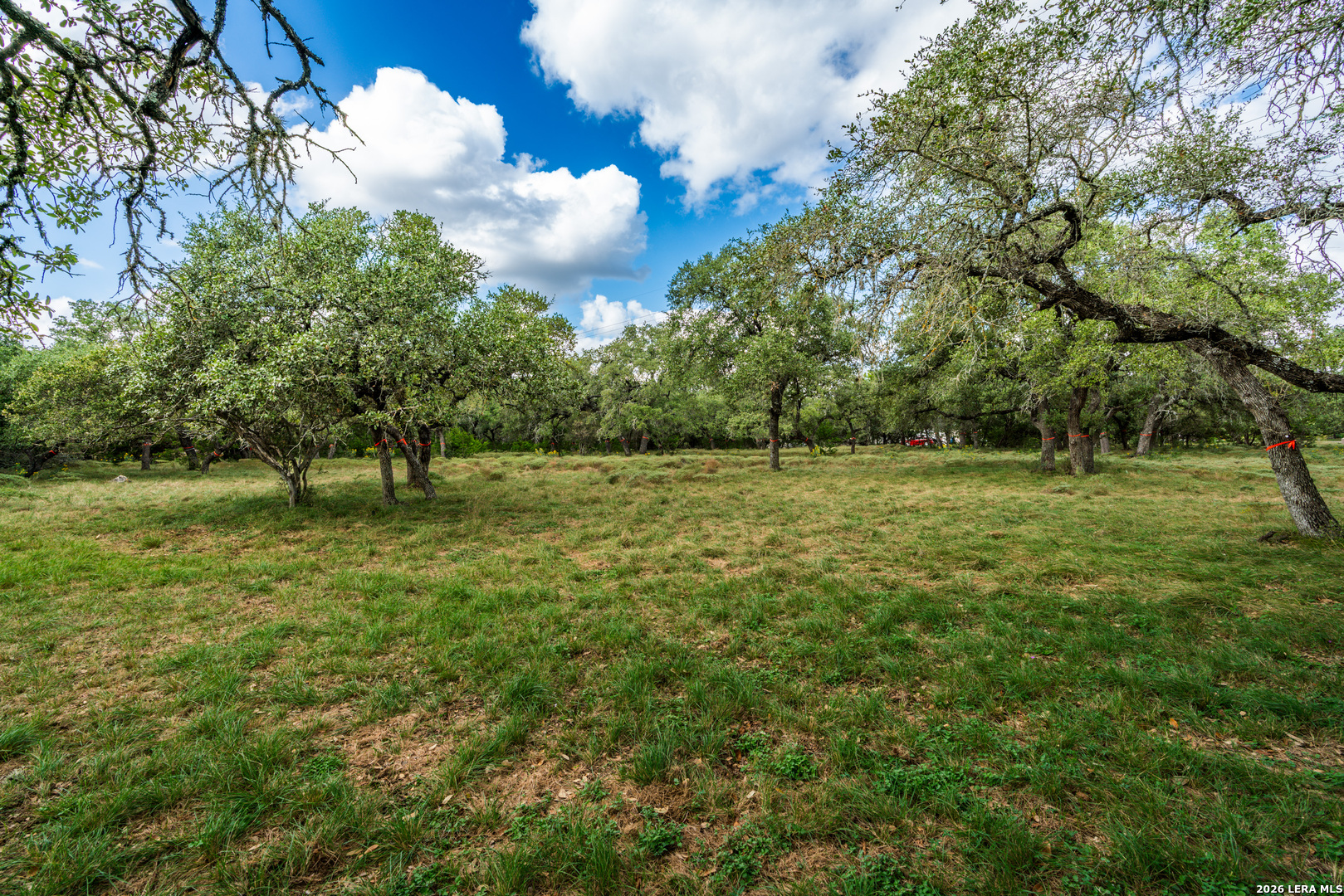 23407 Osceola Bluff San Antonio TX 78261
