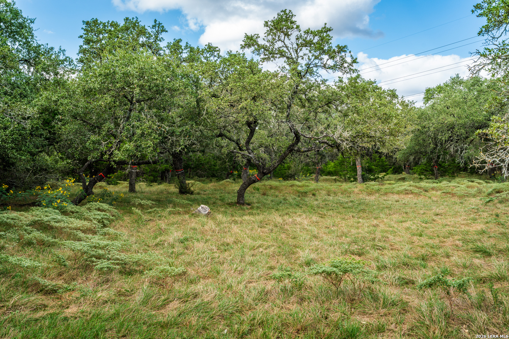 23407 Osceola Bluff San Antonio TX 78261