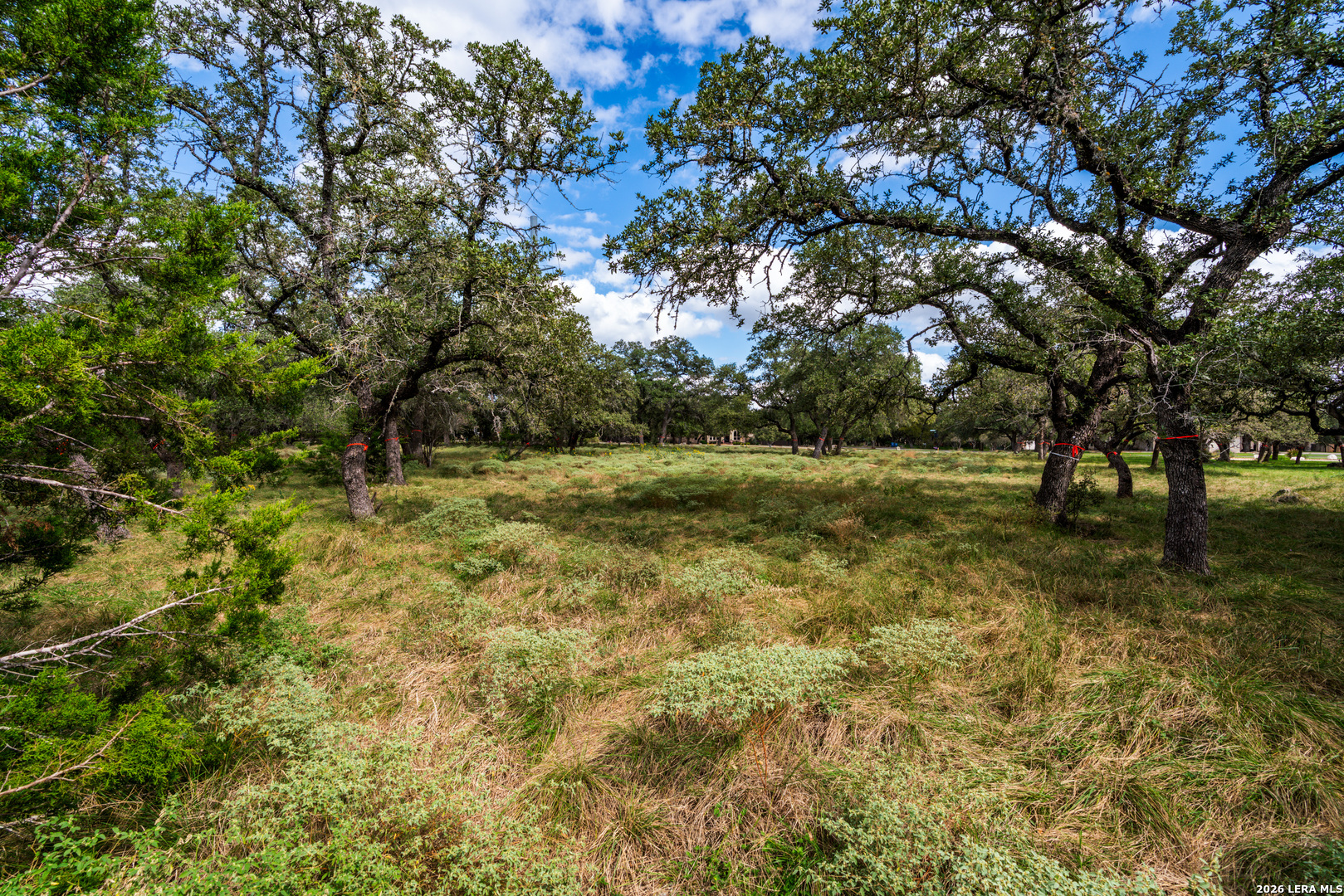 23407 Osceola Bluff San Antonio TX 78261