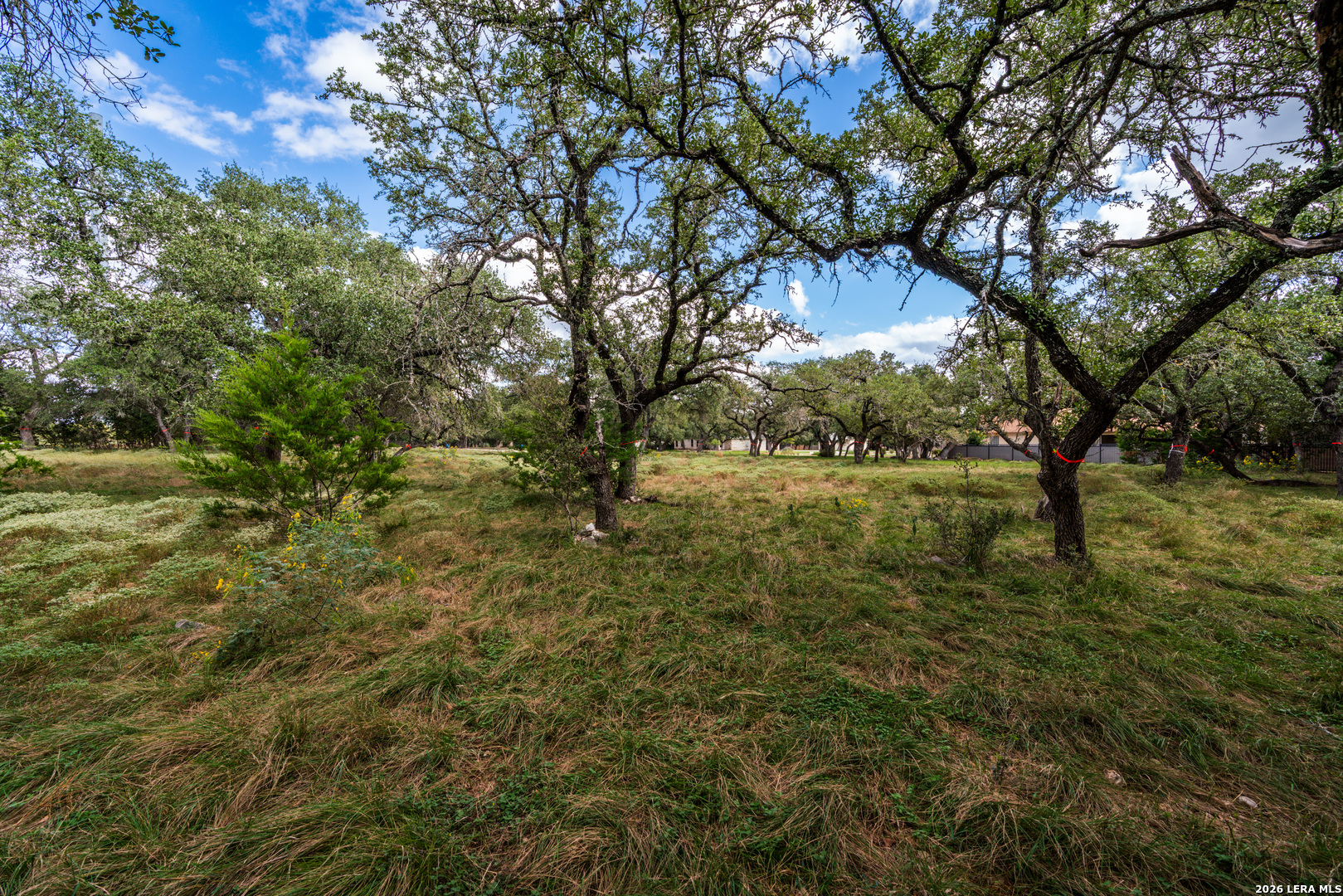 23407 Osceola Bluff San Antonio TX 78261