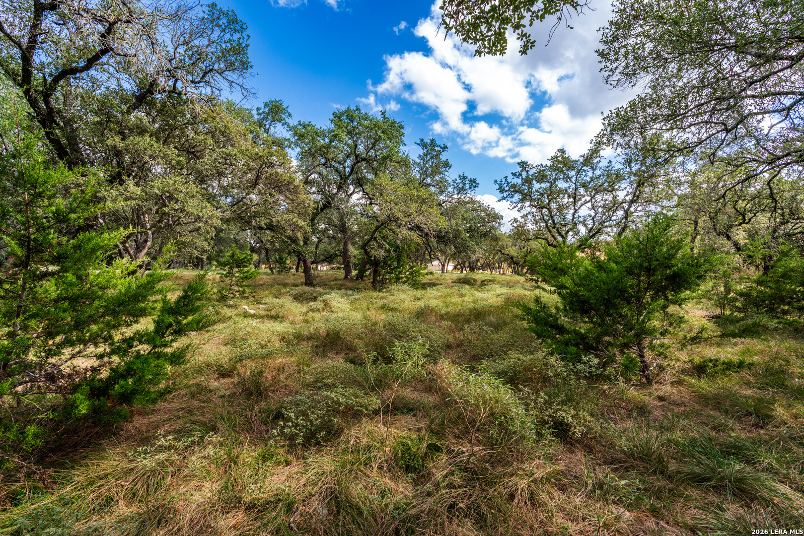 23407 Osceola Bluff San Antonio TX 78261