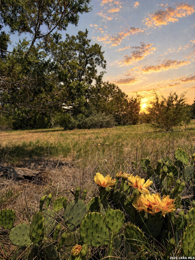 174 Waterman Lane Pipe Creek TX 78063