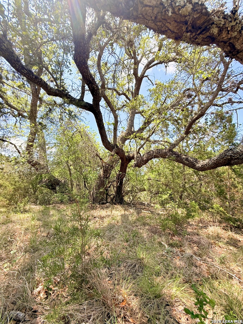 174 Waterman Lane Pipe Creek TX 78063