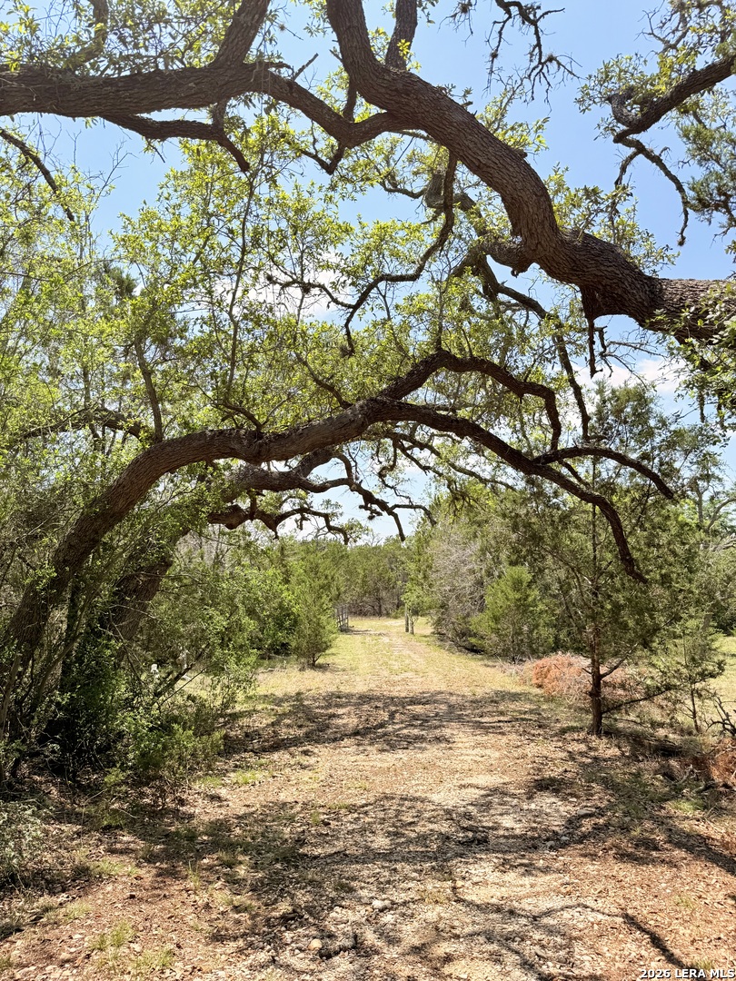 174 Waterman Lane Pipe Creek TX 78063