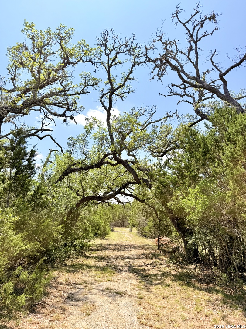 174 Waterman Lane Pipe Creek TX 78063