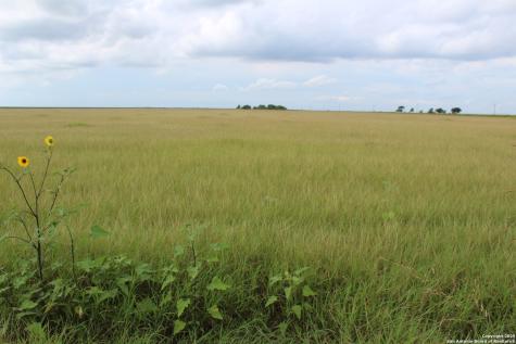 T1 Tbd County Road 502 Sinton TX 78387