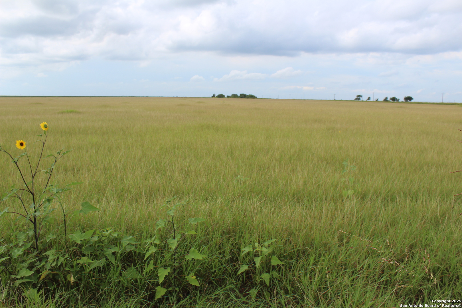 T1 Tbd County Road 502 Sinton TX 78387