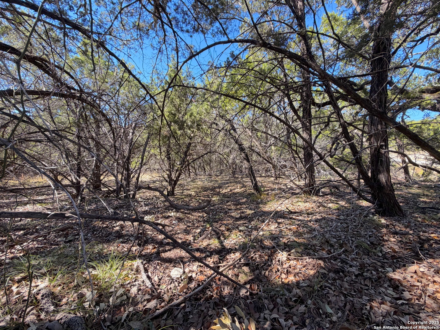 1031 Parton & 151 Reeves Canyon Lake TX 78133