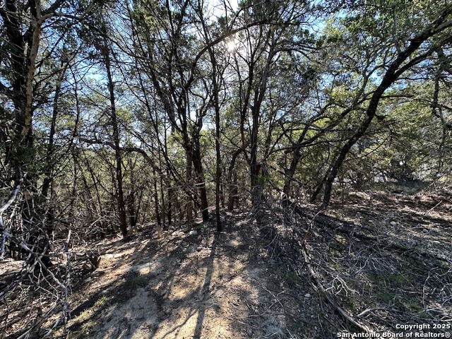 1031 Parton & 151 Reeves Canyon Lake TX 78133