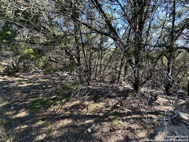 1031 Parton & 151 Reeves Canyon Lake TX 78133