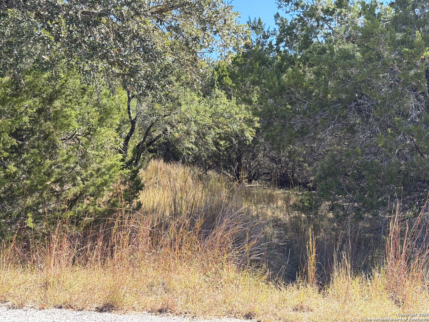 1031 Parton & 151 Reeves Canyon Lake TX 78133