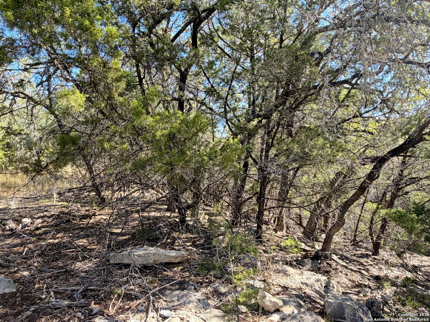 1031 Parton & 151 Reeves Canyon Lake TX 78133