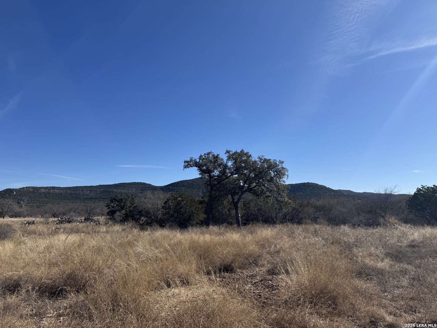 523 Kahn Drive Rio Frio TX 78879