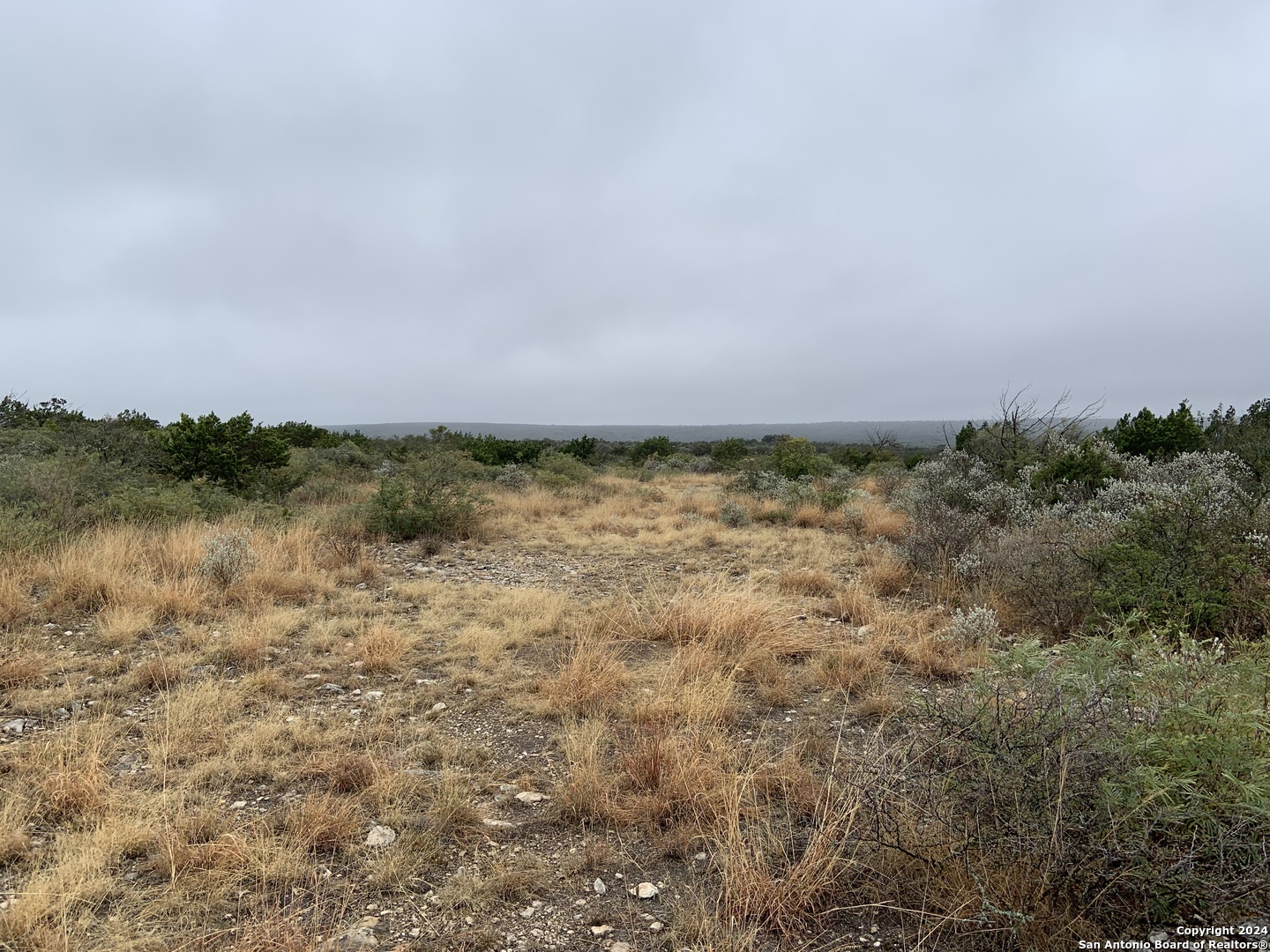 1972 Private Road 3178 Brackettville TX 78832