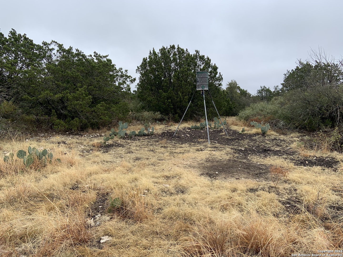 1972 Private Road 3178 Brackettville TX 78832