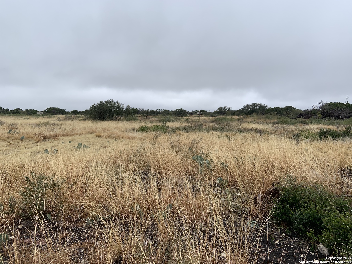 1972 Private Road 3178 Brackettville TX 78832