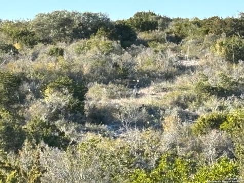 1972 Private Road 3178 Brackettville TX 78832