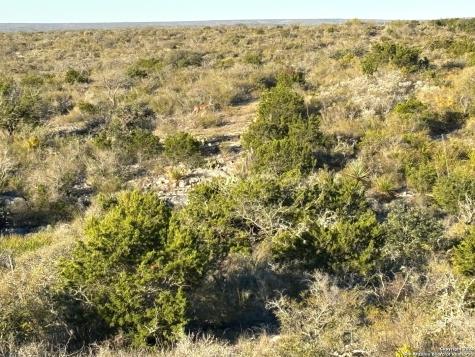 1972 Private Road 3178 Brackettville TX 78832