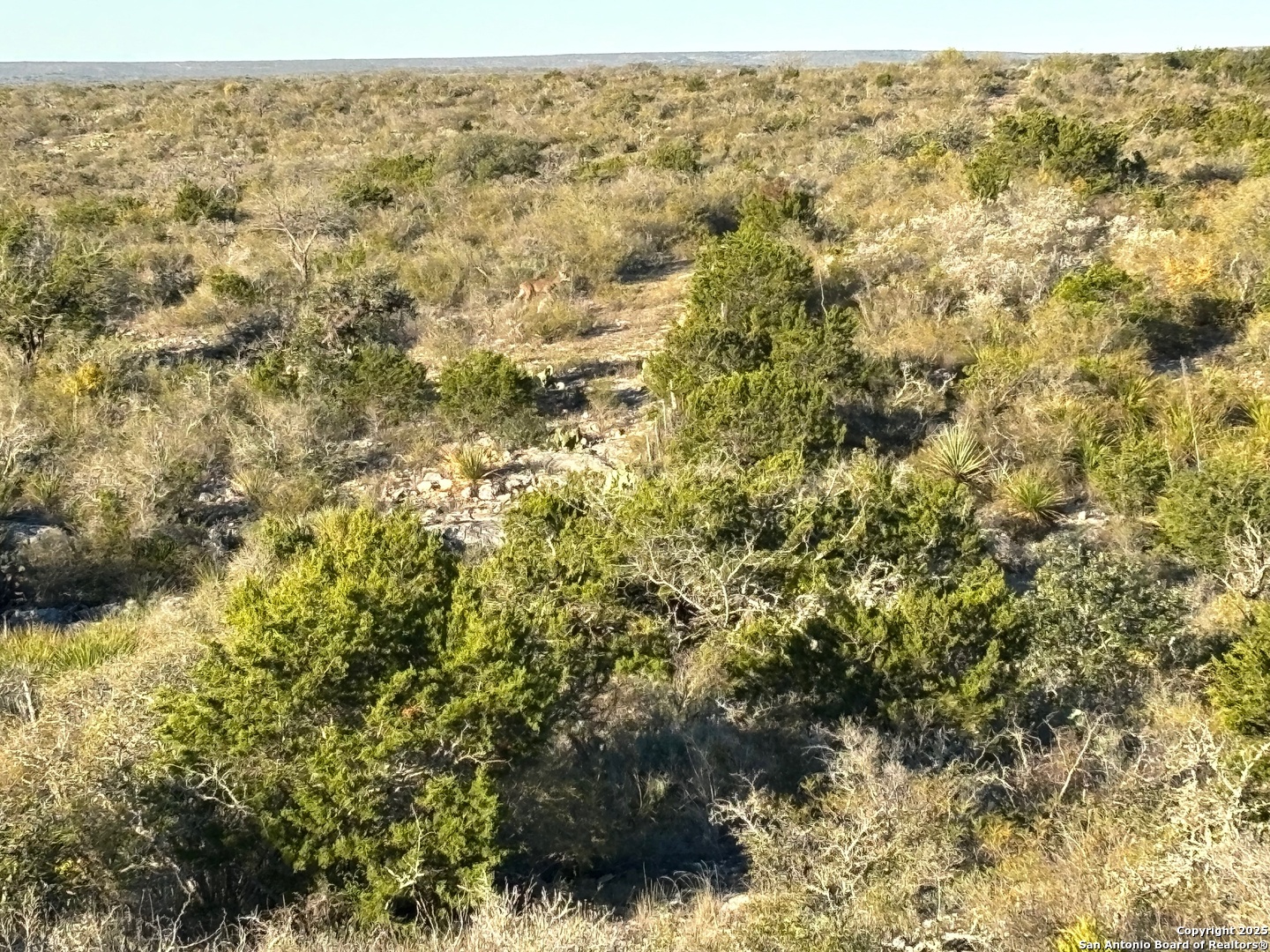 1972 Private Road 3178 Brackettville TX 78832