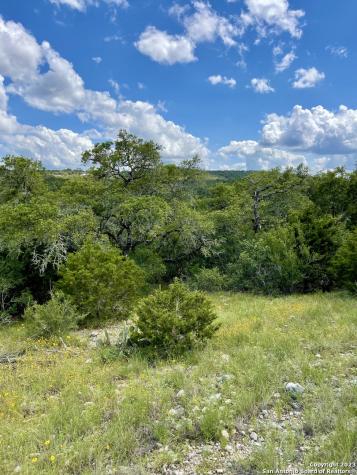 Lot 438 County Road 2763 Mico TX 78056
