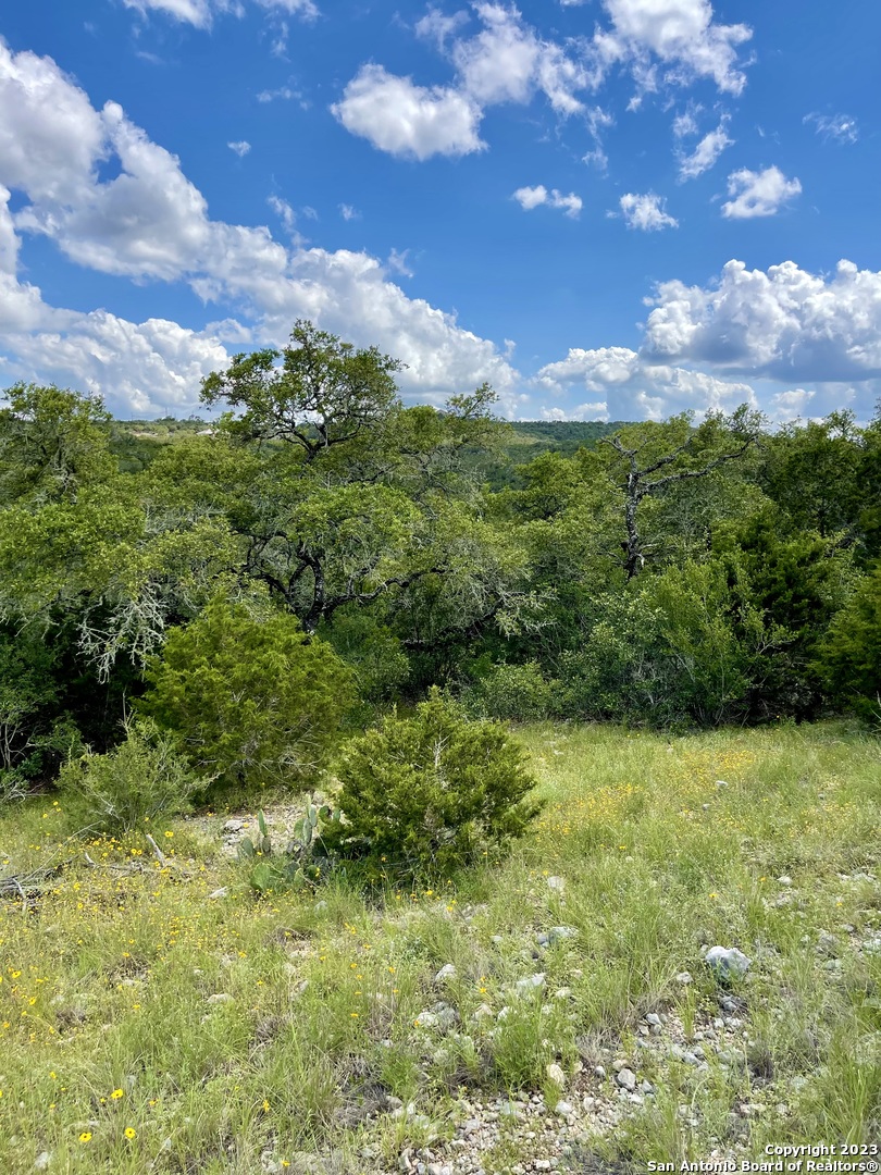 Lot 438 County Road 2763 Mico TX 78056
