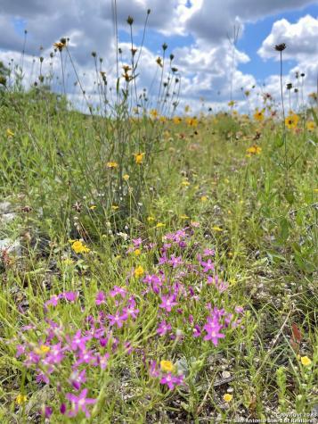 Lot 438 County Road 2763 Mico TX 78056