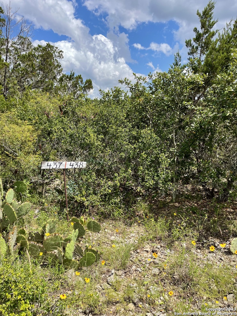 Lot 438 County Road 2763 Mico TX 78056