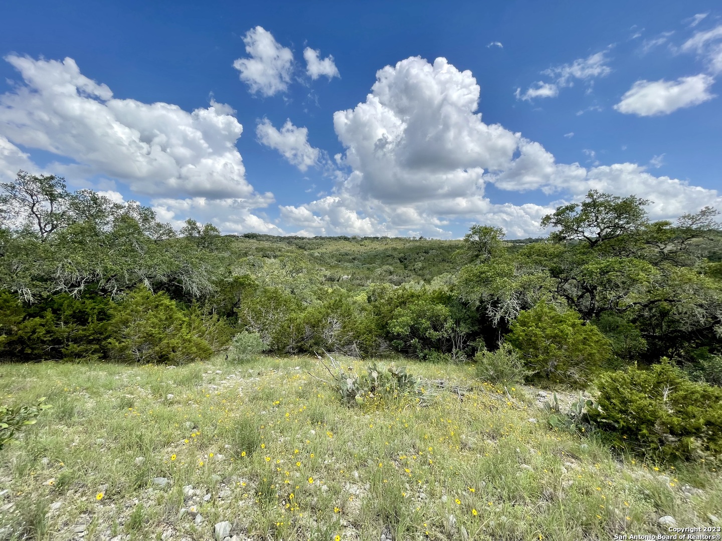 Lot 438 County Road 2763 Mico TX 78056