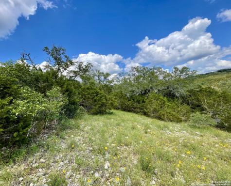 Lot 438 County Road 2763 Mico TX 78056