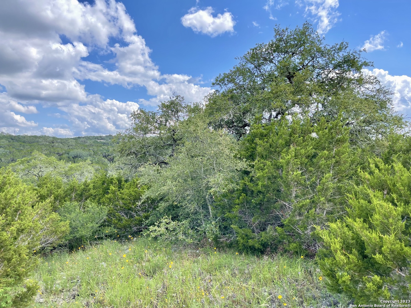 Lot 438 County Road 2763 Mico TX 78056