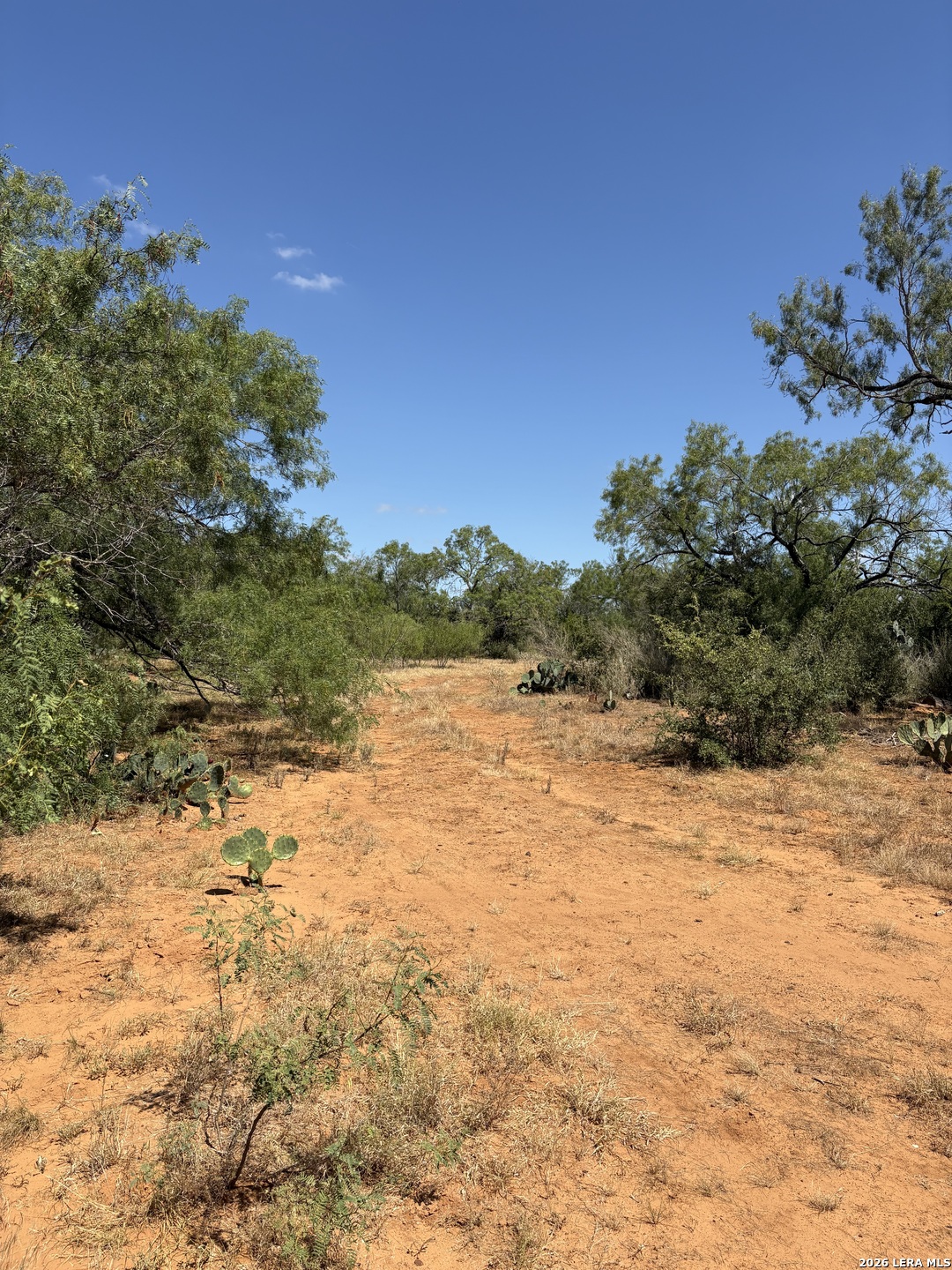 314 County Road Bigfoot TX 78005