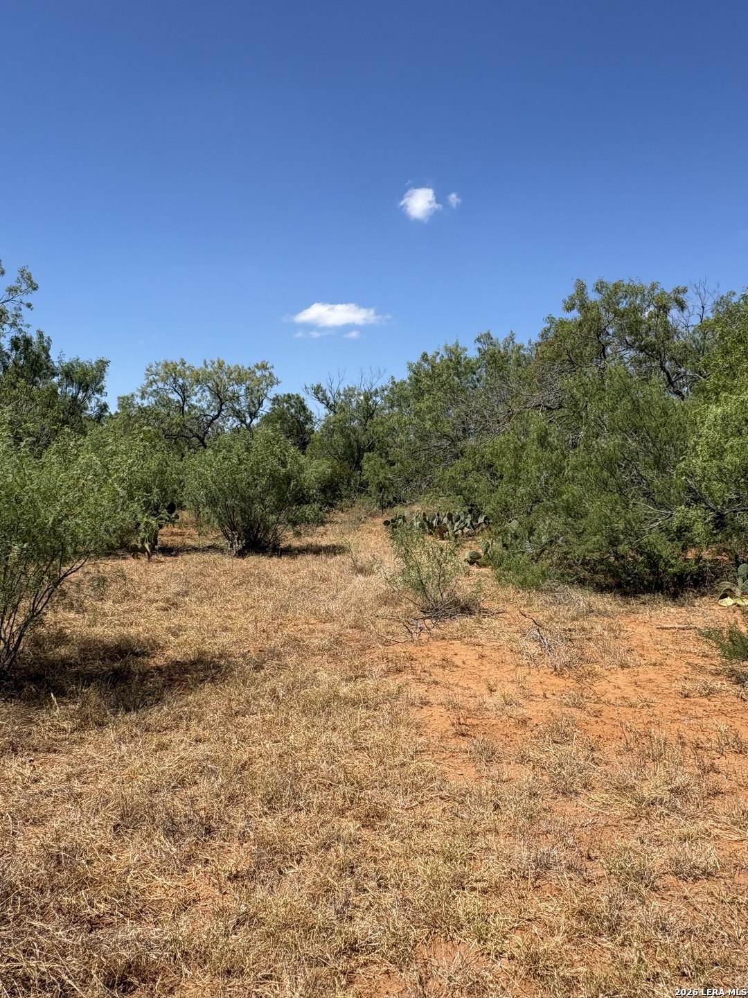 314 County Road Bigfoot TX 78005