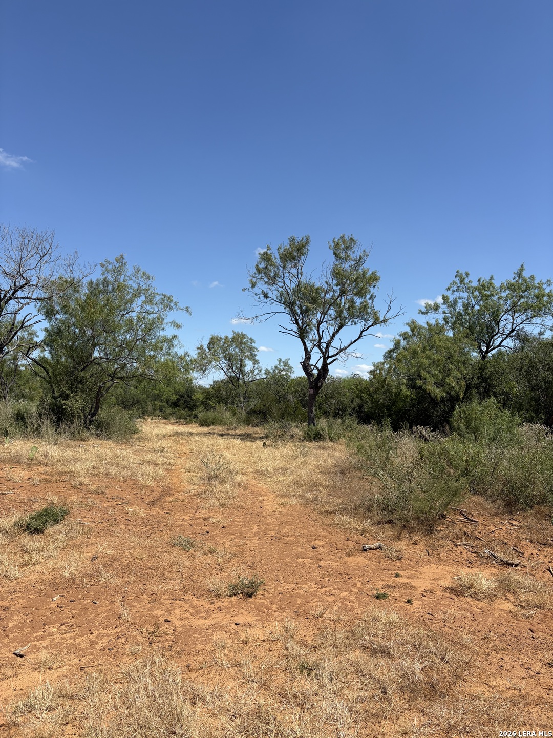 314 County Road Bigfoot TX 78005