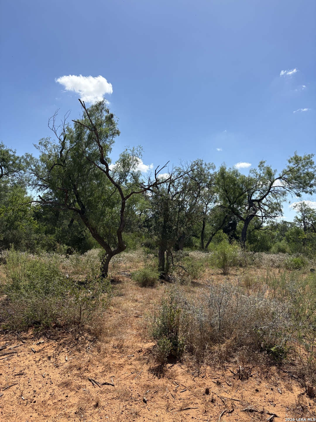 314 County Road Bigfoot TX 78005