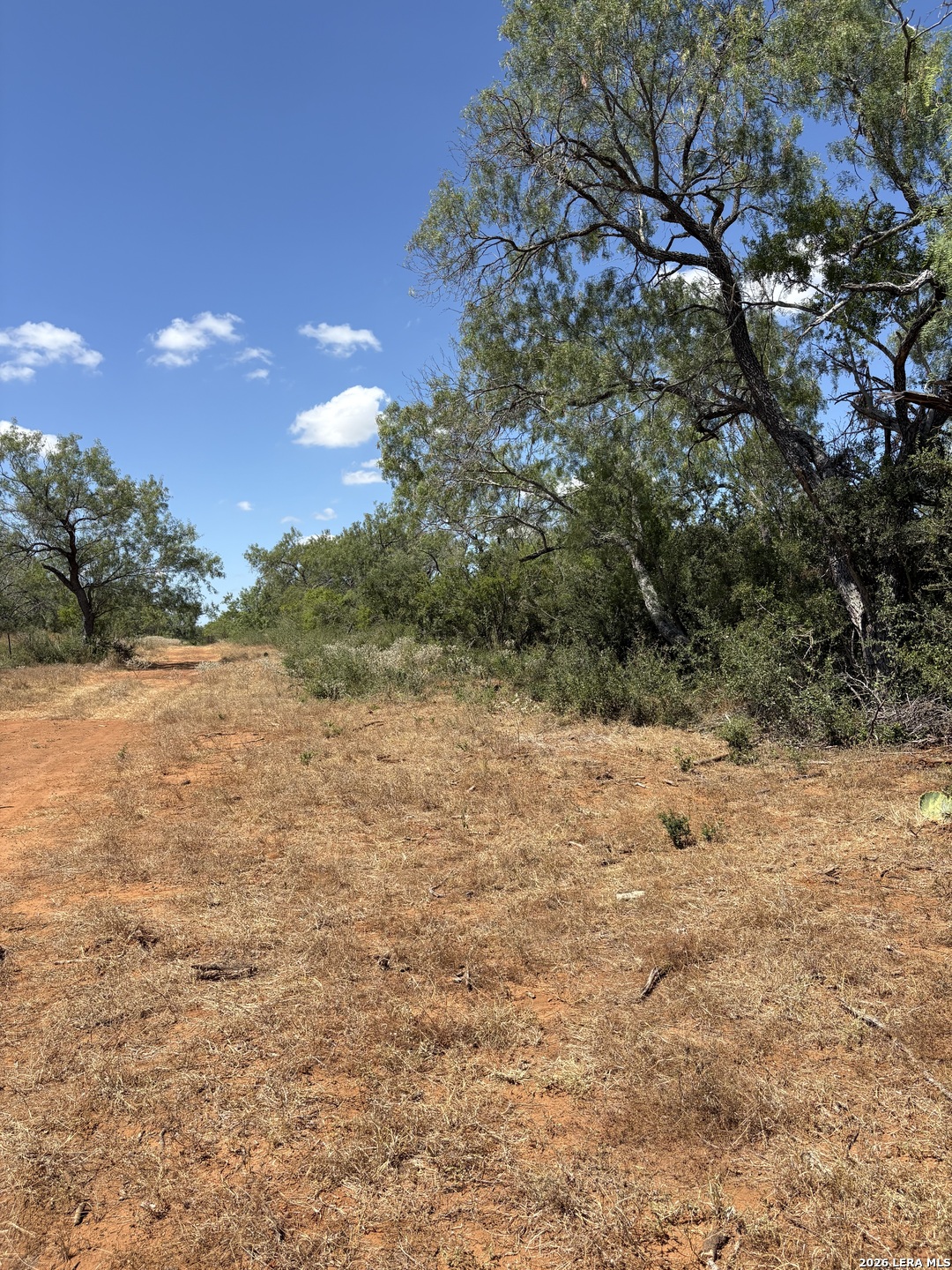 314 County Road Bigfoot TX 78005