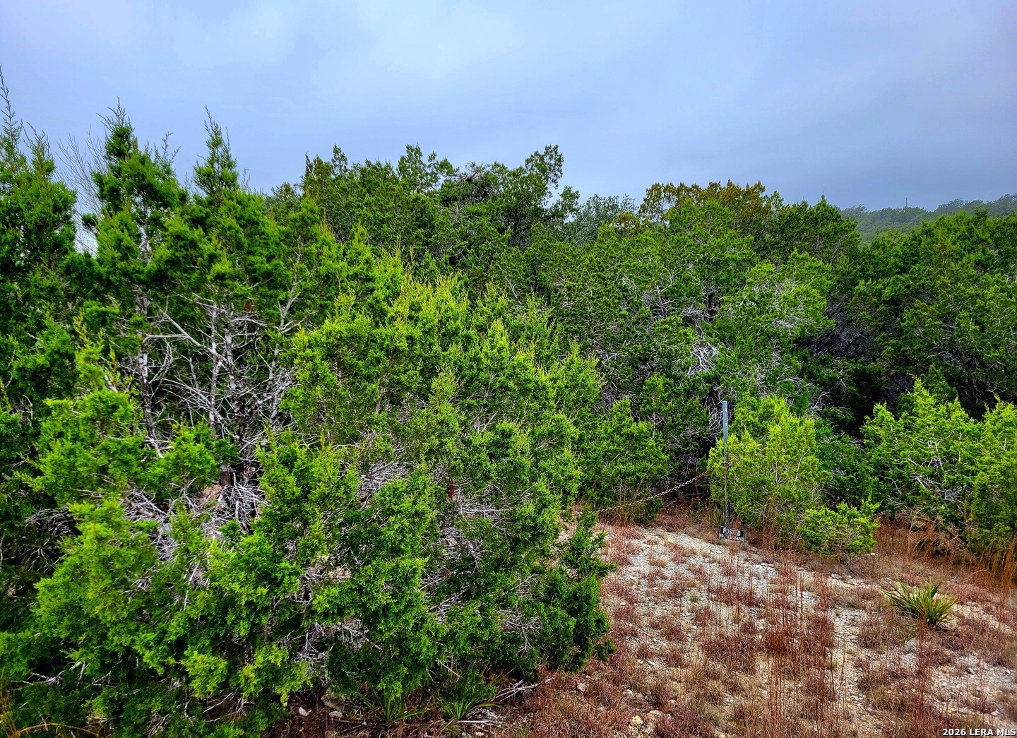 193 Appaloosa Drive Fischer TX 78623