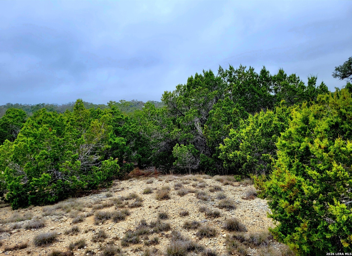 193 Appaloosa Drive Fischer TX 78623