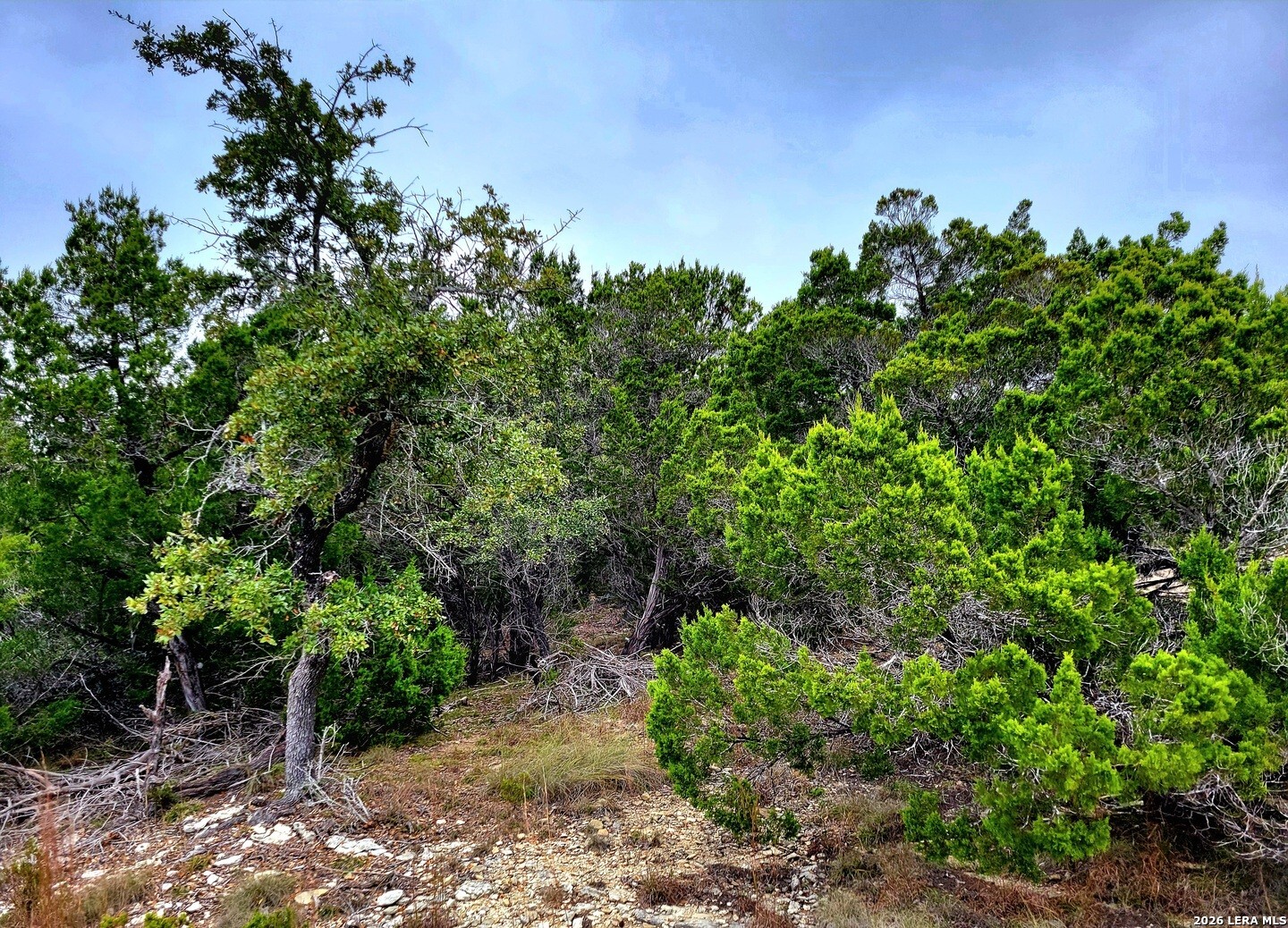 193 Appaloosa Drive Fischer TX 78623