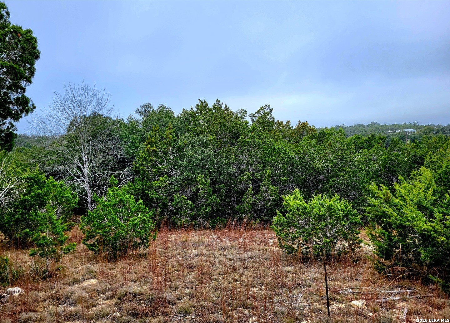 193 Appaloosa Drive Fischer TX 78623