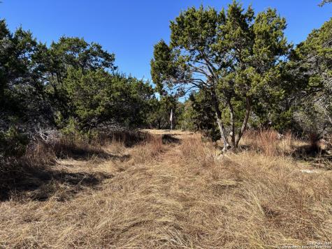 Lot 85 Headwaters Ranch Road Kendalia TX 78027