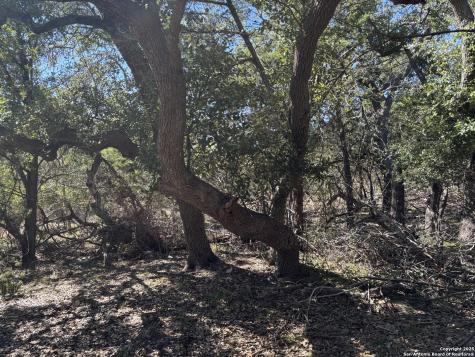 Lot 85 Headwaters Ranch Road Kendalia TX 78027