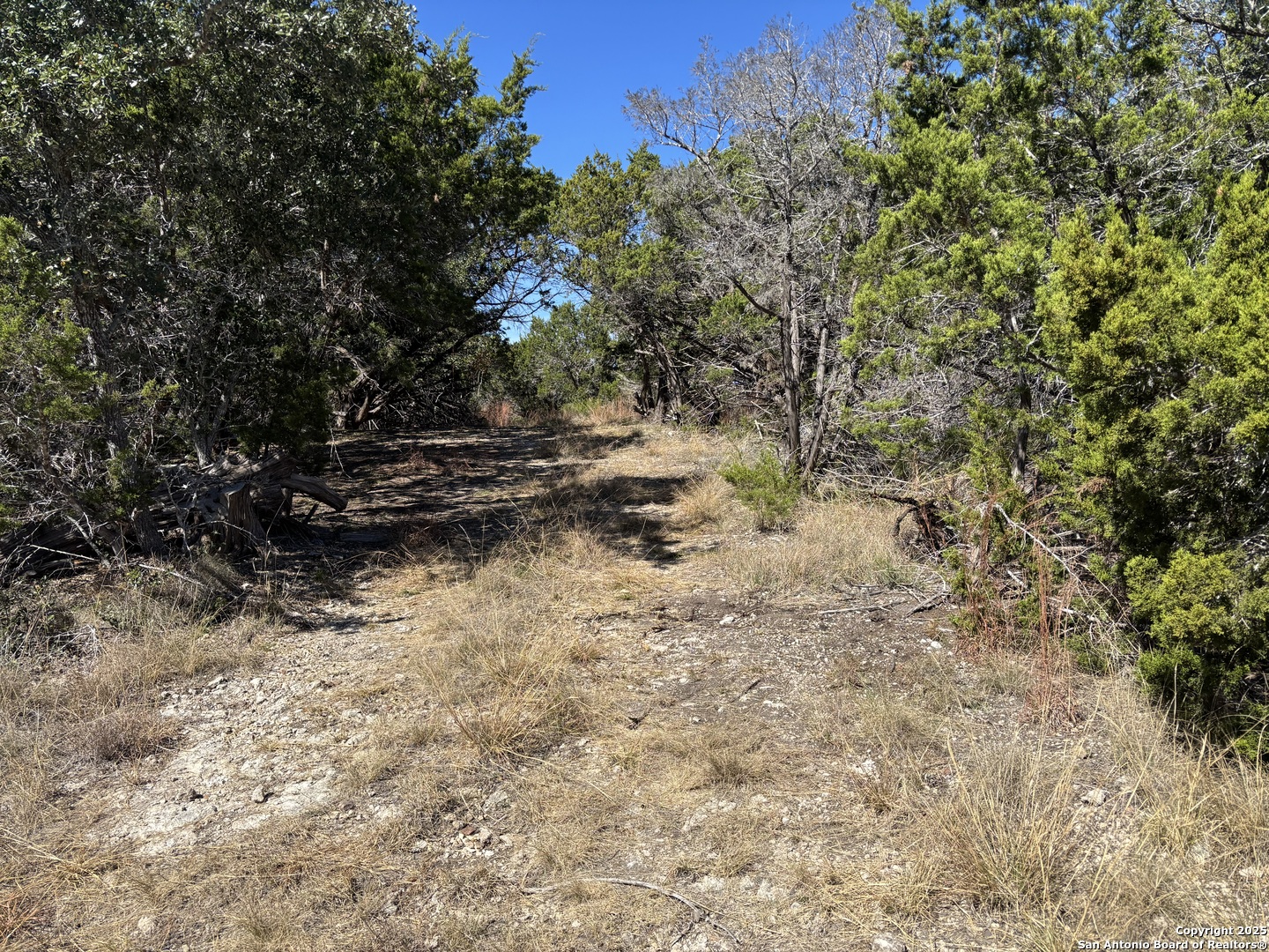 Lot 85 Headwaters Ranch Road Kendalia TX 78027
