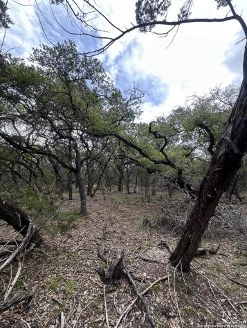 000 Blanco Road San Antonio TX 78260