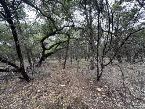 000 Blanco Road San Antonio TX 78260